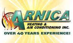 Arnica